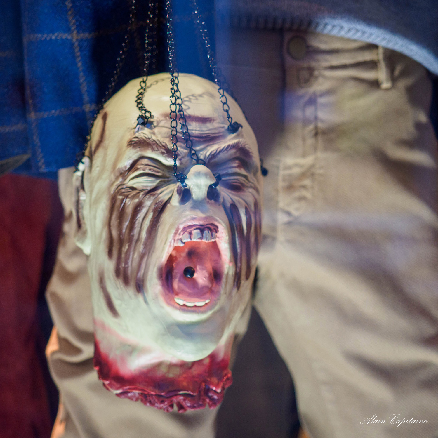 OLYMPUS DIGITAL CAMERA